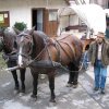 IMG_8016